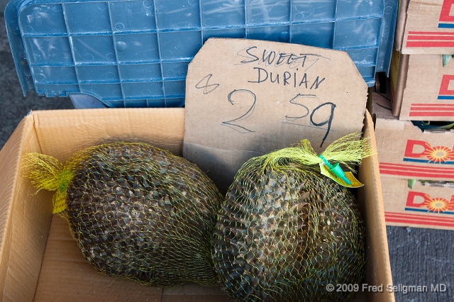 20091031_142845 D300.jpg - Durian, a delectable, but very smelly Chinese fruit, Honolulu